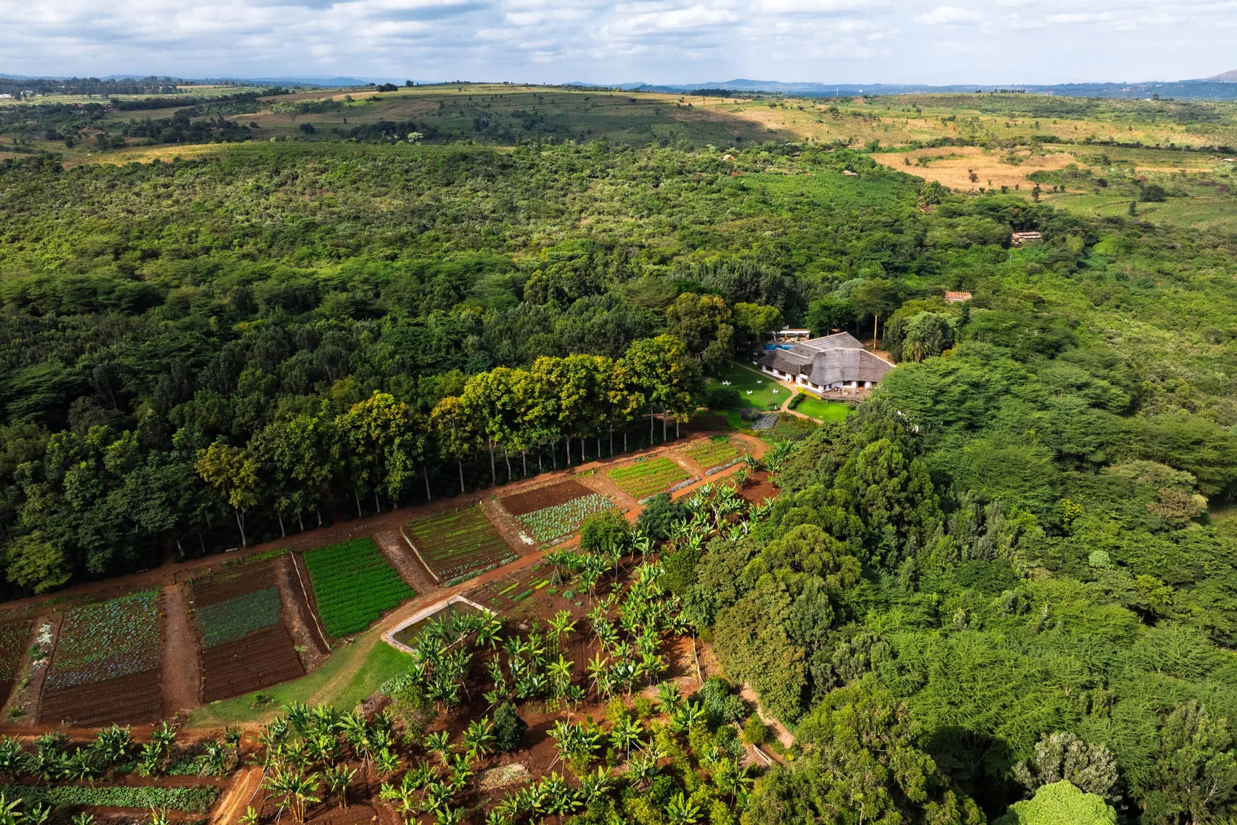 Aerial view of Ngorongoro Farm House and its green grounds