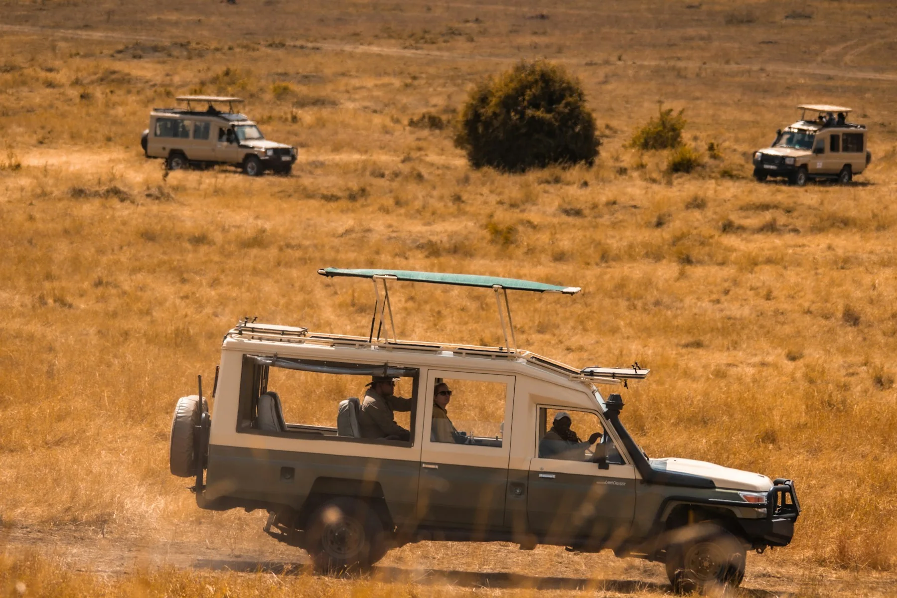 Safari vehicles on the Serengeti plains
