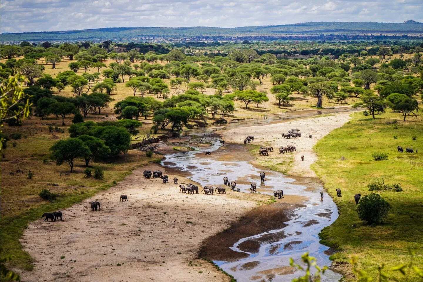 Tarangire River and wildlife below Tarangire Safari Lodge