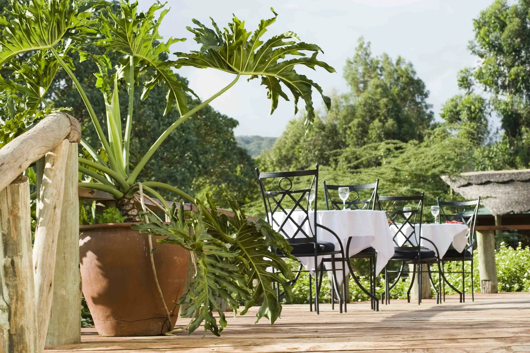 Garden terrace at Tloma Lodge