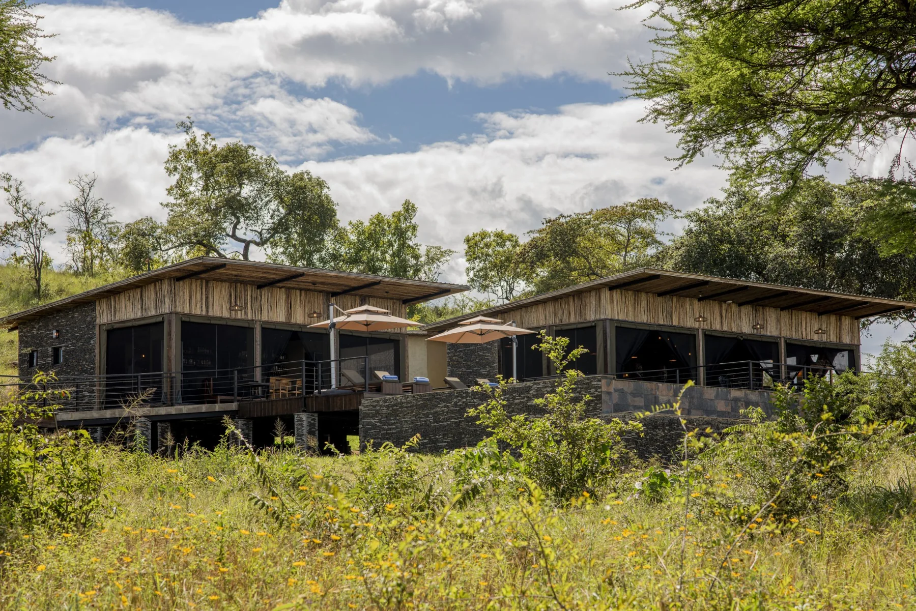 Tarangire Elephant Springs — Tarangire National Park · Tanzania